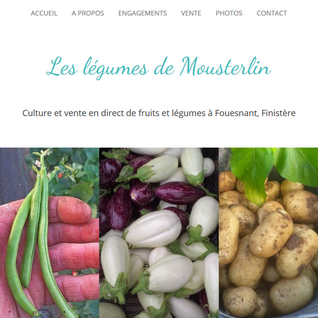 Les légumes de Mousterlin